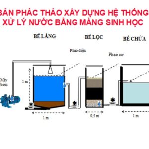 Chuyển giao công nghệ mô hình lọc nước sinh học tại xã Tam Hiệp, huyện Bình Đại, tỉnh Bến Tre.