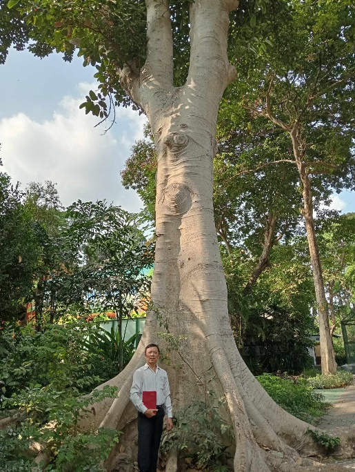 Chào mừng Thành phố Hồ Chí Minh lần đầu tiên có Cây Di sản Việt Nam