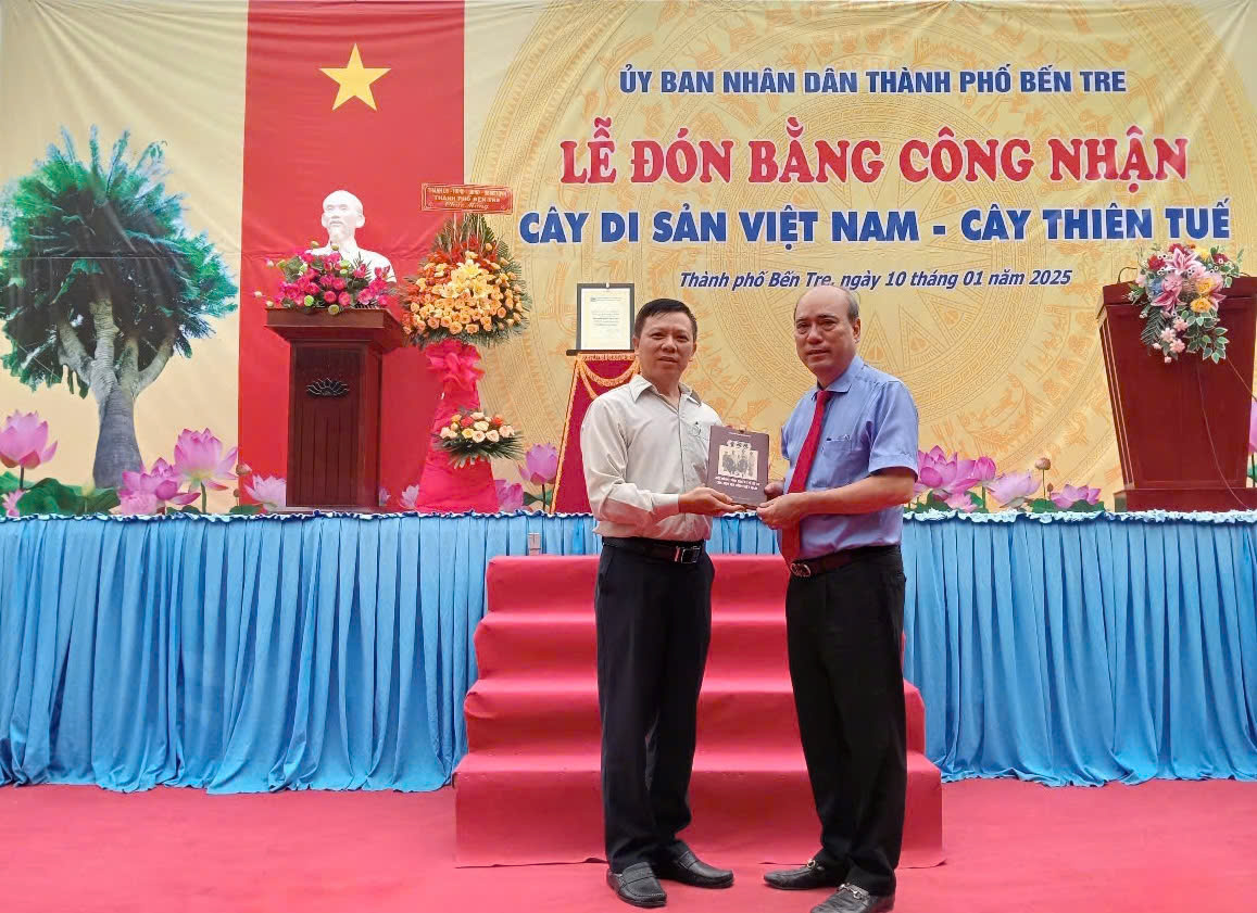 Cây Di sản Việt Nam đầu tiên trong năm 2025 ở Đồng bằng sông Cửu Long – Cây Thiên Tuế, Đình Phú Nhuận, xã Phú Nhuận, thành phố Bến Tre