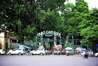 Dưới bóng Cây Di sản – bài học văn hóa từ “Lá phổi xanh” của Sài Gòn