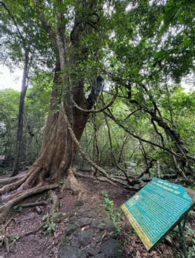 KHI BÀI HỌC TRỞ THÀNH MỘT DI SẢN SỐNG