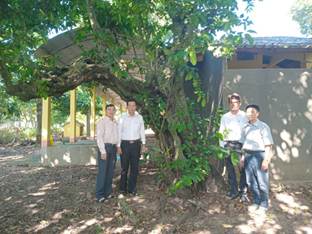 Sáu cây di sản đầu tiên nam2026 ở xã Tân Thủy tỉnh Vĩnh long.